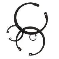 Anello seeger