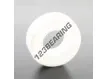 6004-CE-ZRO2-PTFE-ZEN