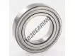 6009-2Z-SKF
