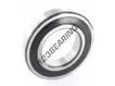 6219-2RS-C3-SKF