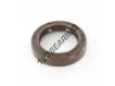 ASP-22X31X6.50-FPM