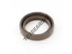 ASP-22X31X6.50-FPM