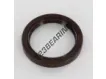 ASP-40X52X7-FPM