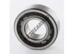 BC1-0313-SKF