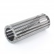 Gabbia a rullini - CR40X55X150
