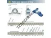 EXP202-SNR