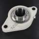 Supporto in ghisa - 2 fissaggi - FLPL208-SSUC208-INOX