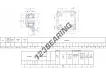 FNL-517-B-2217-K-H317-SKF