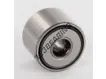 NATR5-PPA-SKF