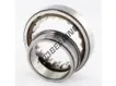 NJ1009-ECP-SKF