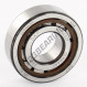 Cuscinetto a rulli - NJ204-ECP-SKF
