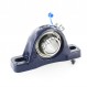 Supporto in ghisa - 2 fissaggi - NP1-1-4R-RHP