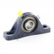 Supporto in ghisa - 2 fissaggi - NP16-RHP