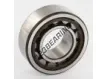 NU2205-ECP-SKF