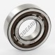 Cuscinetto a rulli - NUP205-ECP-SKF