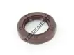 OA-25X32X5.500-FPM