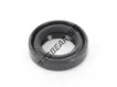 OAS-12X19X5-NBR