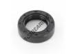 OAS-19X30X8-NBR