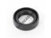 OAS-19X30X8-NBR