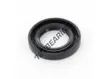 OAS-22X38X6-NBR