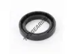 OAS-33X48X8.90-NBR