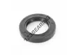 OAS-40X63.65X10-NBR