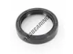OAS-42.80X55X11-NBR