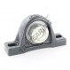 Supporto in ghisa - 2 fissaggi - PASE25-XL-N-INA