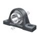 Supporto in ghisa - 2 fissaggi - PASE50-XL-N-INA