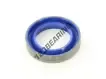 RAK-25X38X7.50-PU94