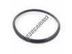 RSE-125X137X5.50-10-NBR90