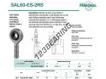 SAL60-ES-2RS-DURBAL