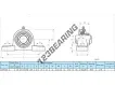 SAP210