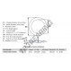 Rondelle per molle ondulate divise - SWSW-219.99-199.16-0.81-7