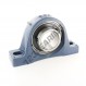 Supporto in ghisa - 2 fissaggi - SY55-TF-SKF