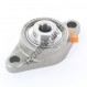 Supporto in ghisa - 2 fissaggi - UCFL202-INOX