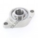 Supporto in ghisa - 2 fissaggi - UCFL207-INOX