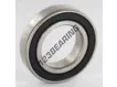 W6007-2RS1-SKF
