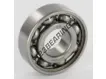 W6203-SKF