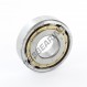 Guarnizione X-RING - XR-26.57X3.53-NBR80-N4215