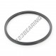 Guarnizione X-RING - XR-97.79X5.33-NBR70-QR4344N47